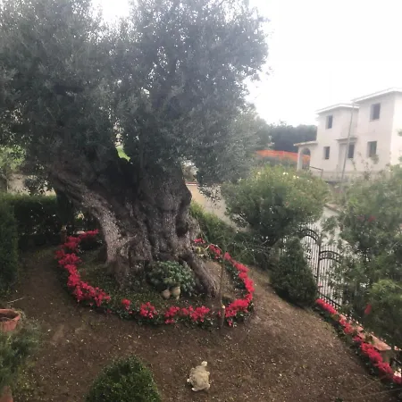 Panzió Rosa Dei Venti