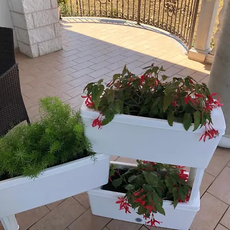 Panzió Rosa Dei Venti