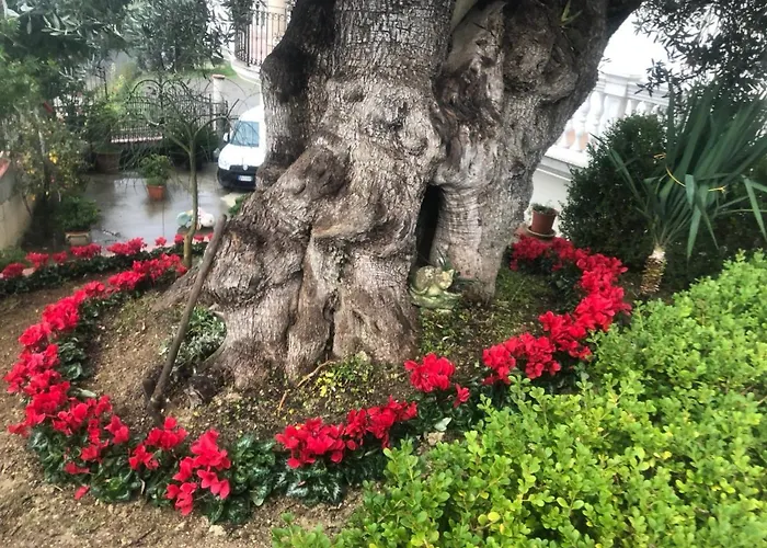 Rosa Dei Venti Panzió