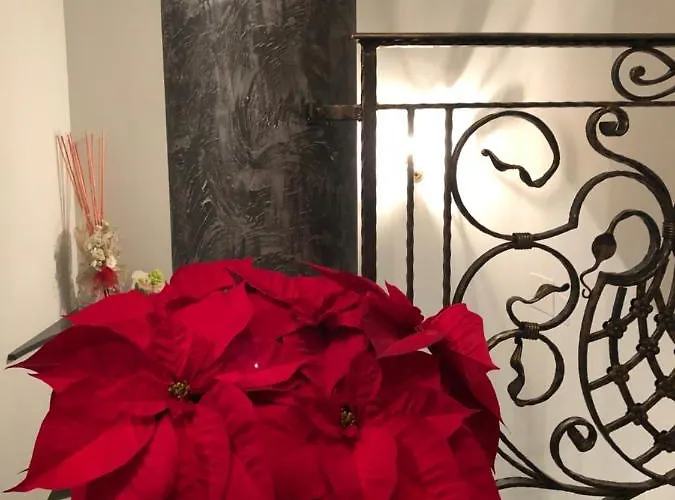 Rosa Dei Venti Roseto Capo Spulico