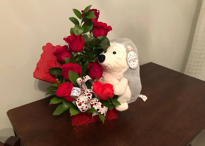 Rosa Dei Venti Roseto Capo Spulico