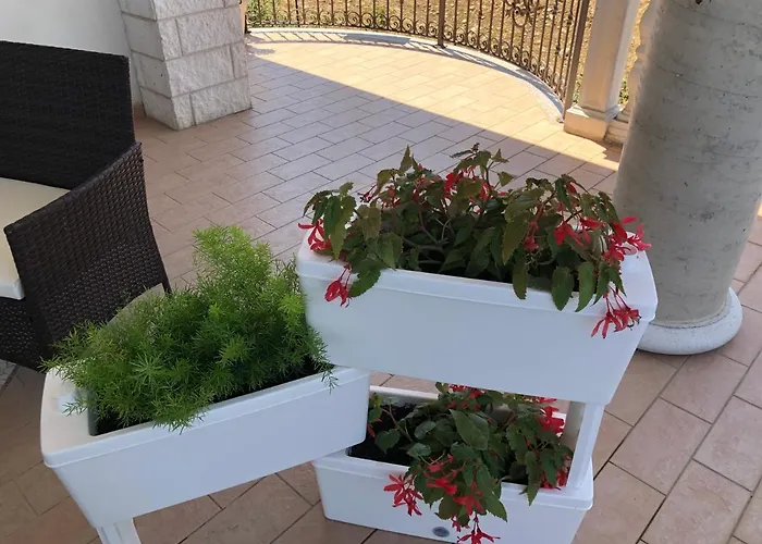 Panzió Rosa Dei Venti