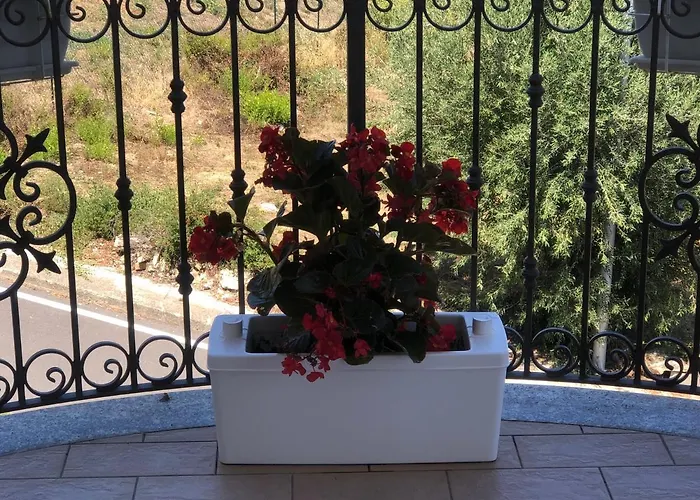 Rosa Dei Venti Roseto Capo Spulico