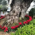 Rosa Dei Venti Bed & Breakfast