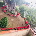 Rosa Dei Venti Roseto Capo Spulico