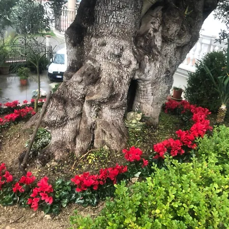 Rosa Dei Venti Alojamento de Acomodação e Pequeno-almoço