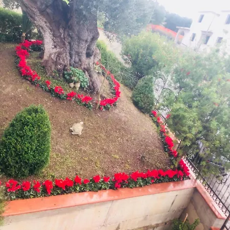 Rosa Dei Venti Roseto Capo Spulico