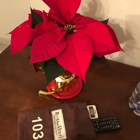 Rosa Dei Venti 3* Roseto Capo Spulico