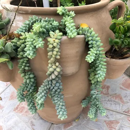 Couette-café Rosa Dei Venti 3*