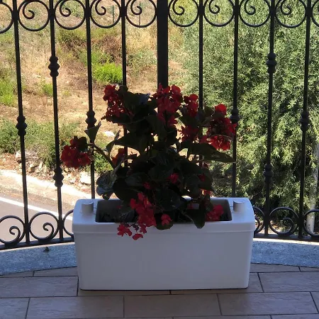 Rosa Dei Venti Roseto Capo Spulico