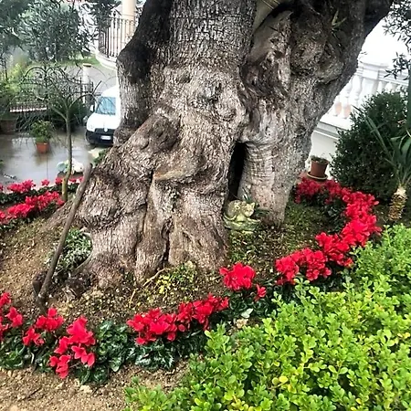 Rosa Dei Venti Frühstückspension Roseto Capo Spulico