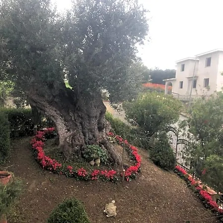 Rosa Dei Venti Frühstückspension